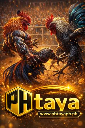 banner-cook-fighting-phtaya