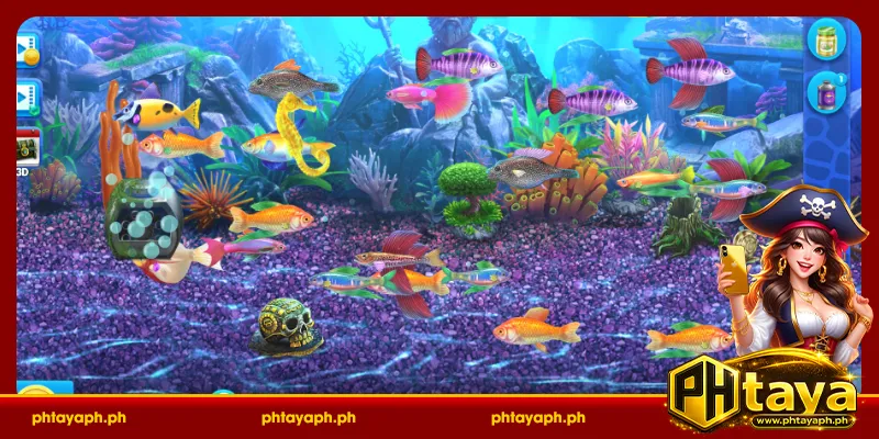 Introduction to PHTAYA 3D Fishing